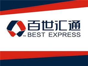 商務(wù)服務(wù)黃頁與城市聯(lián)盟 構(gòu)建現(xiàn)代商業(yè)生態(tài)的雙翼